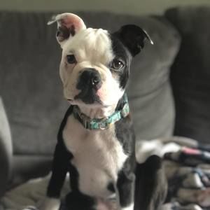 Meet your Posher, Nicole